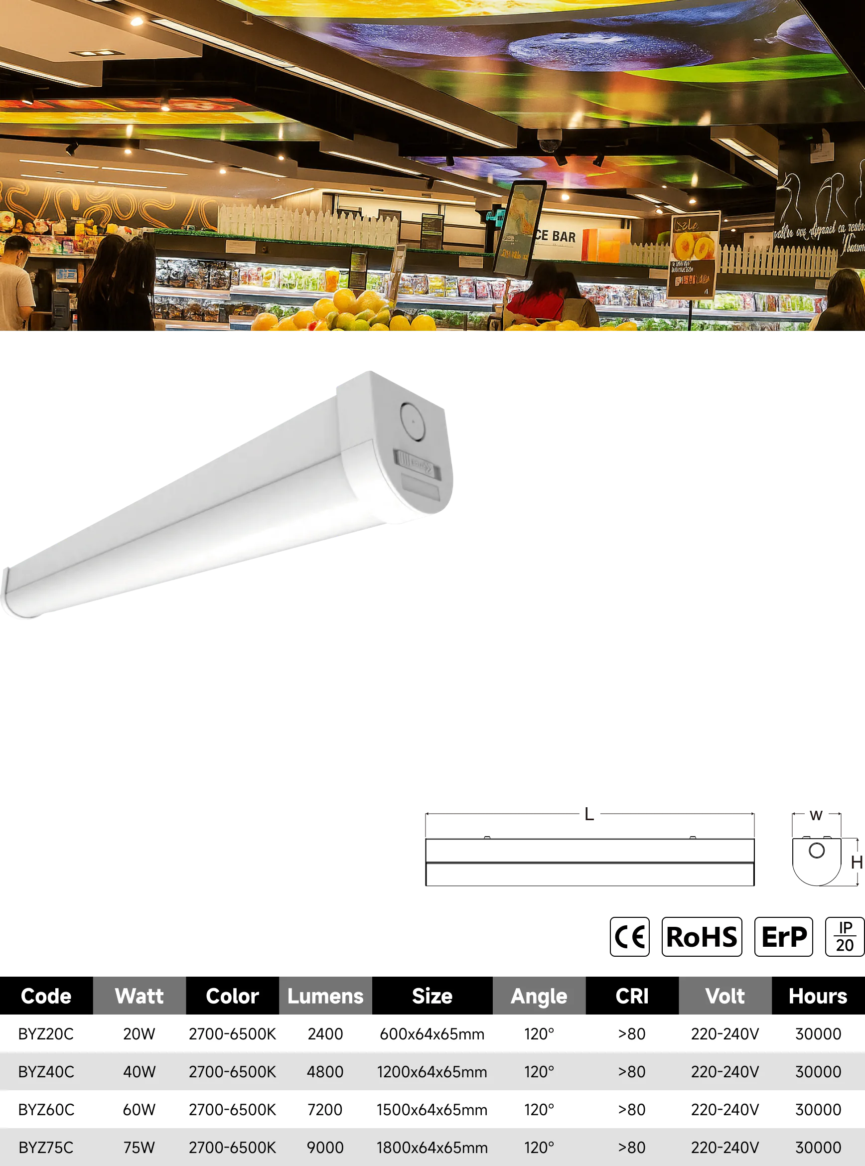 BYZ-C batten light catalogue