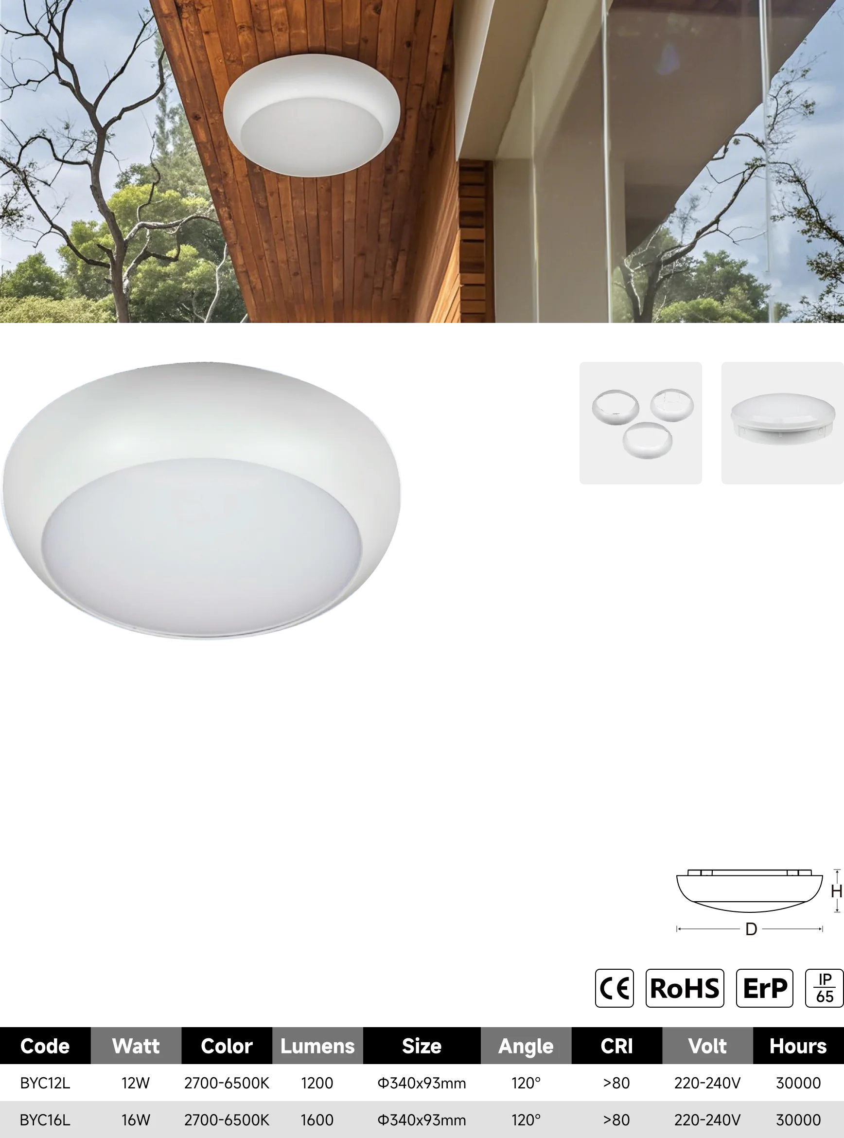 BYC-L bulkhead light catalogue