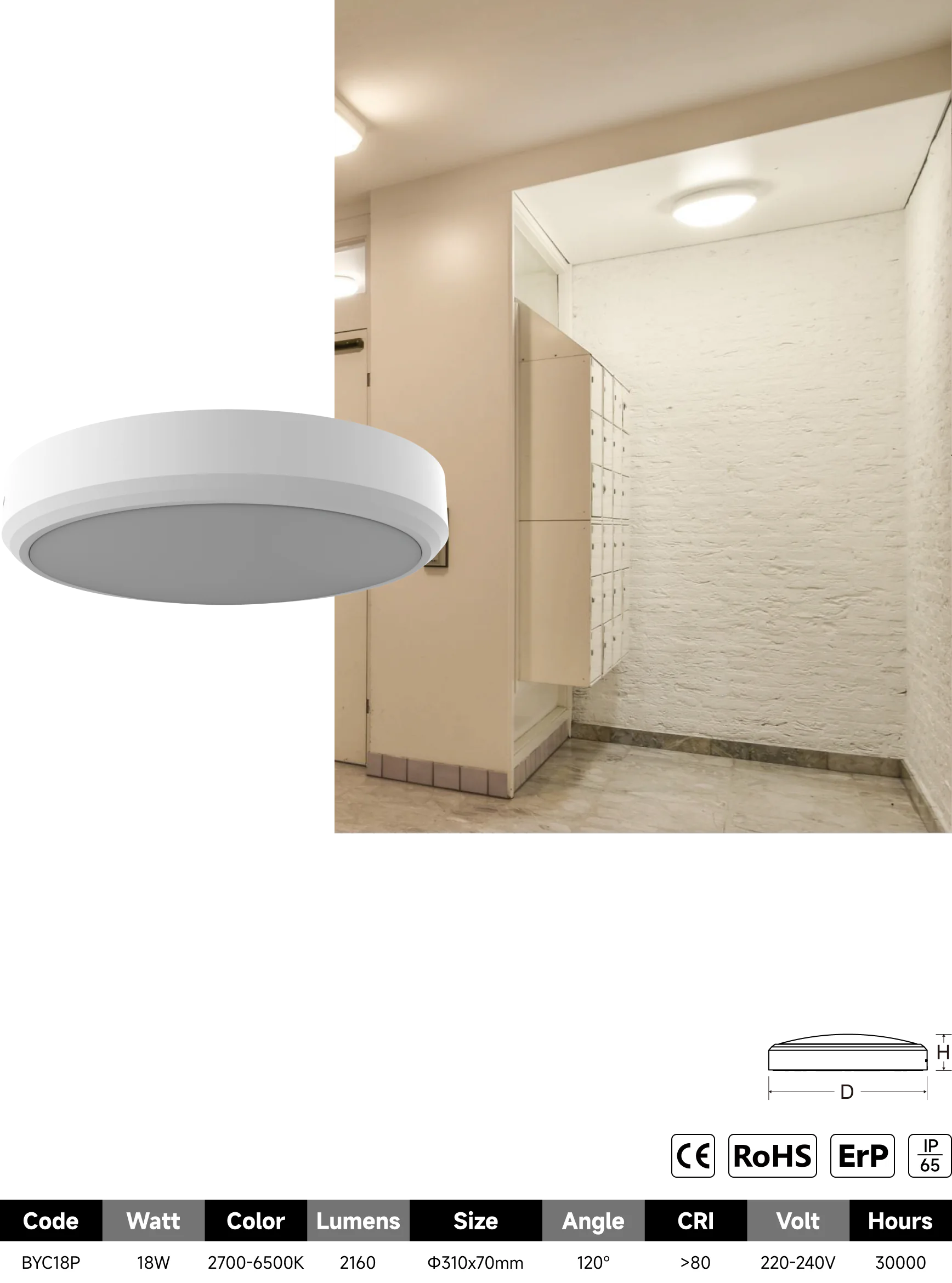 BYC-P bulkhead light catalogue