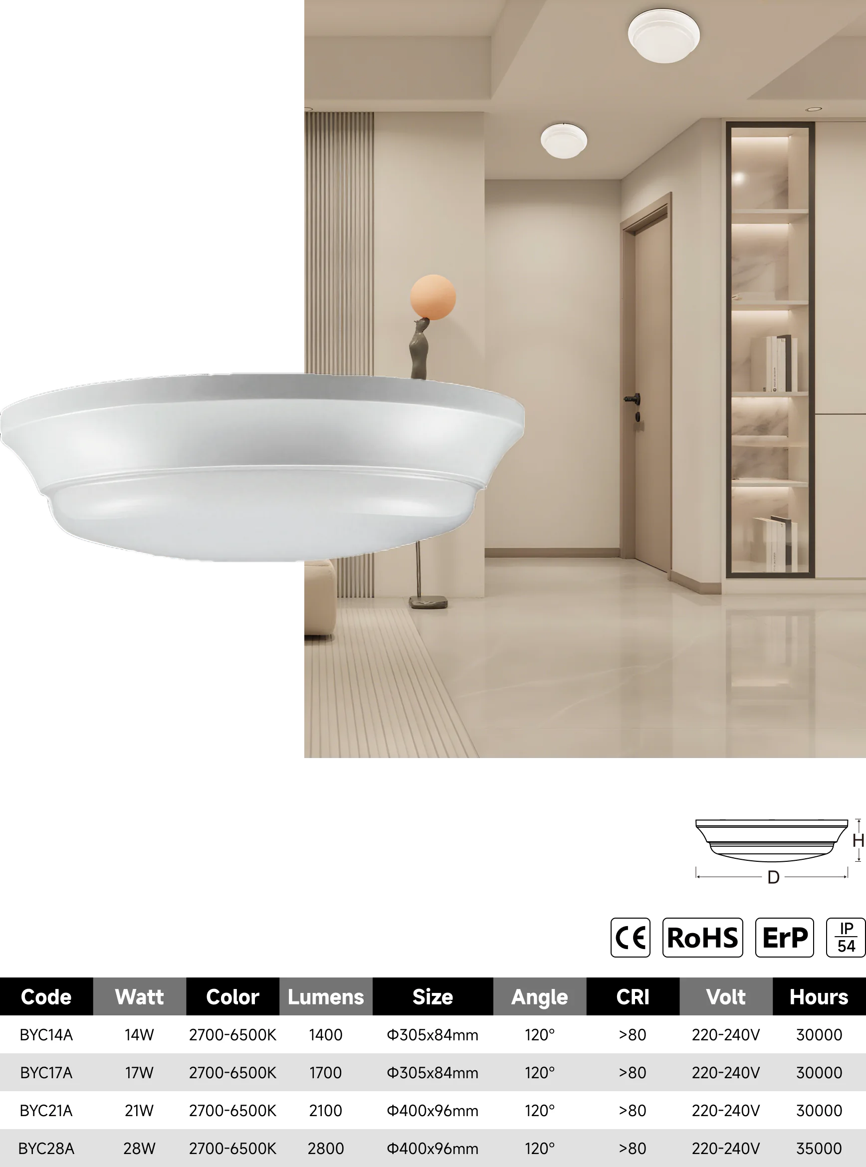 BYC-A ceiling light catalogue